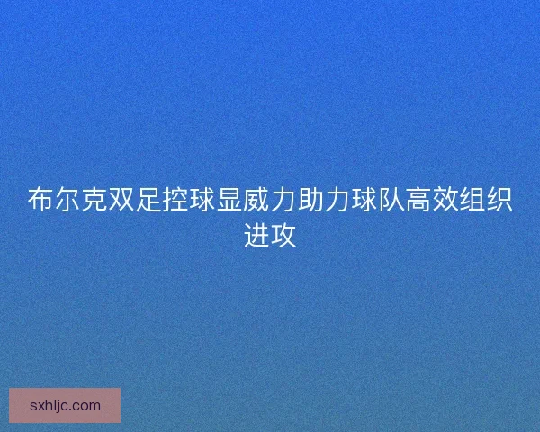 布尔克双足控球显威力助力球队高效组织进攻